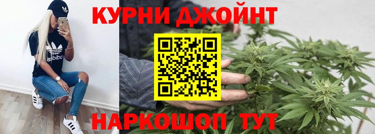 Конопля марихуана Котлас